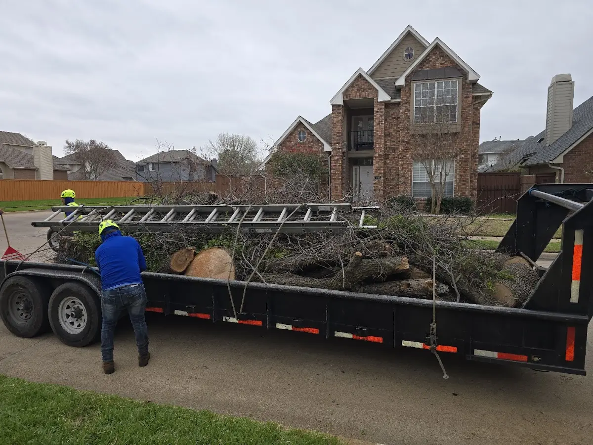 Expert Lot Clearing with proper safety equipment in Belleville
